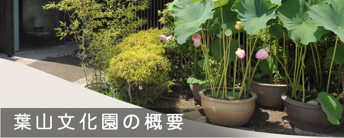 �ջ�ʸ����γ���