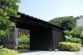 ���ѡ����������