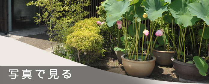 �̿��Ǹ���